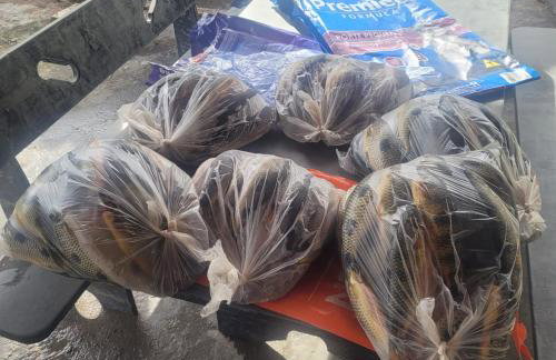 Casa verde temporada - Foto 12