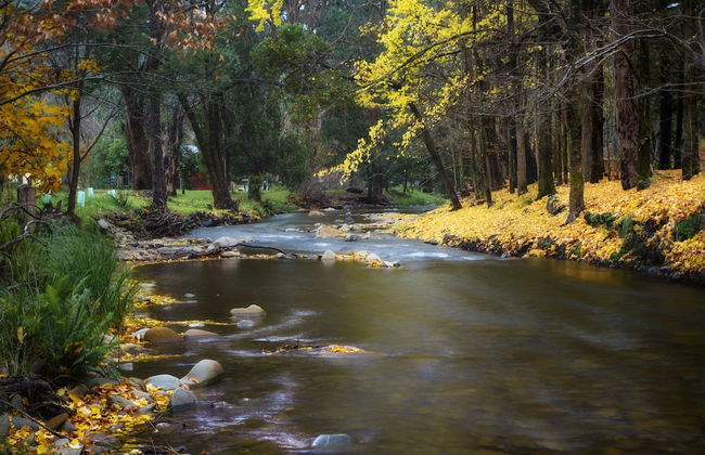 Northbank House - Photo 40