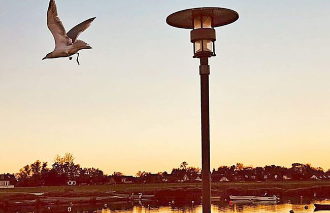 6 Personen Ferienhaus in Wendtorf - Foto 11