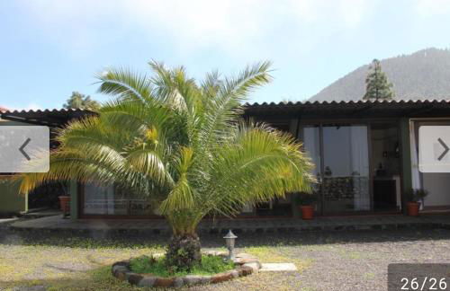 Apartamento Kiril - Foto 11