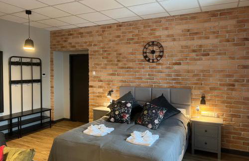 Apartamenty Skierniewice Mireckiego - Foto 9