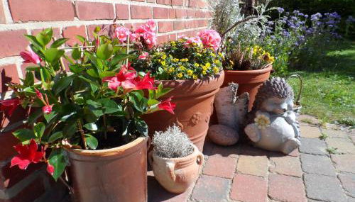 Lütt Verbliev - Foto 5