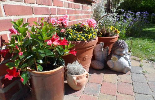 Lütt Verbliev - Foto 5