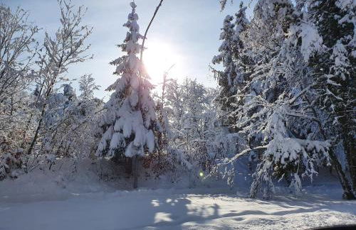 Haus Panorama mit Alpenblick - Foto 28