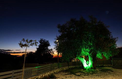 Olea Apartments - Foto 54