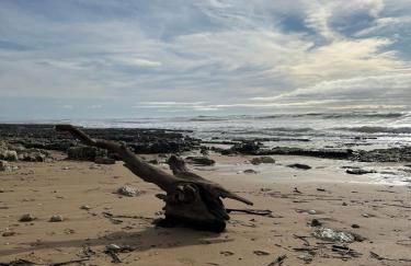 Les Sables Vignier - Foto 1