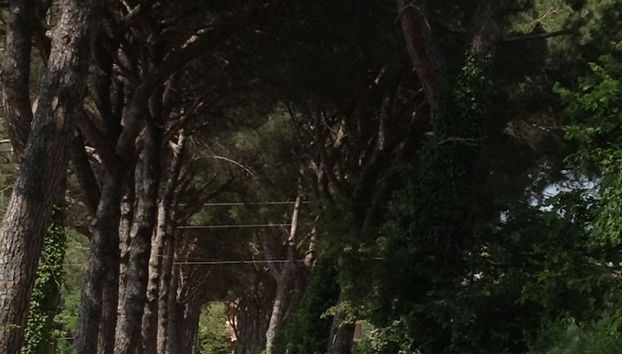 Agriturismo La Montagnola - Photo 4, Interior entrance