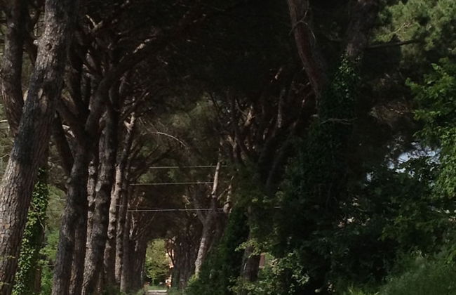 Agriturismo La Montagnola - Foto 4