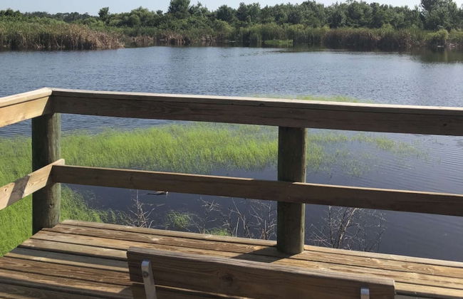 Hyland Hills Ave - Photo 39