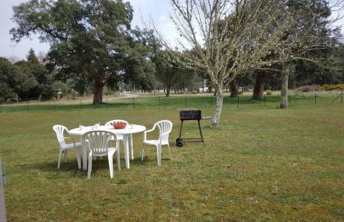 LE PETIT FROUAS CENTRE - Foto 3