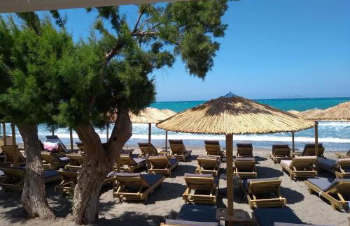 Golden Sun Apartments - Foto 42