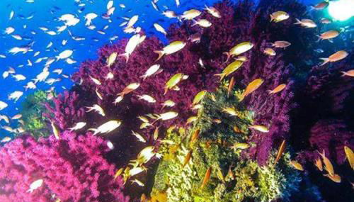 Da Laura e Sergio - Foto 4