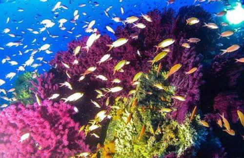 Da Laura e Sergio - Foto 4