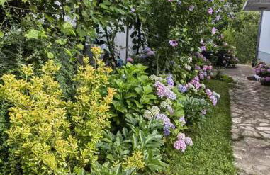 Apartman Barbara - Foto 3