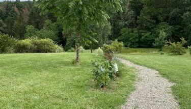 Logement entier de charme, gite équestre GERS Flamarens - Photo 4, Garden