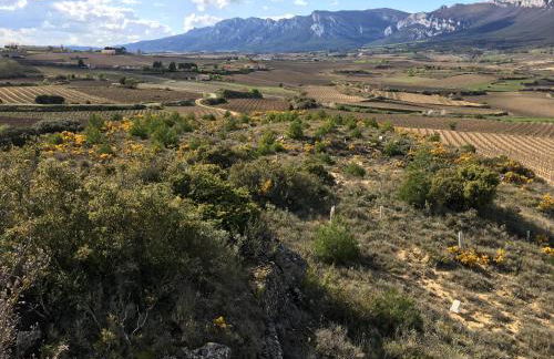 Four Bedroom Chalet with Private Pool in the Heart of Rioja Alavesa - Photo 27