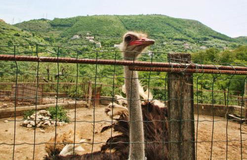 Agriturismo La Chiana - Foto 48