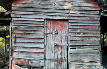 Quiet Farmhouse IN THE COUNTRY close to major theme parks - Photo 30