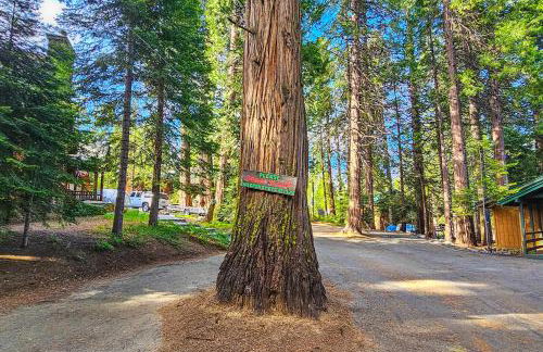 Water's Edge Retreat - Foto 8