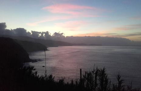 Country House in Azores - S. Miguel - Photo 44