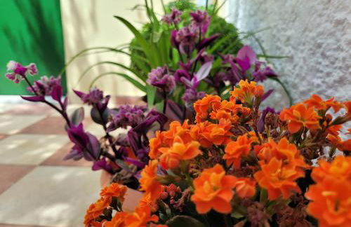 Studio Popi - Foto 12