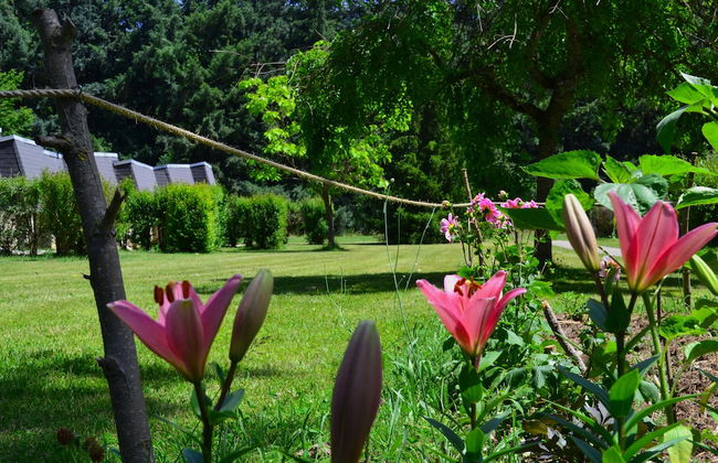 Les gîtes de Beille - Foto 13