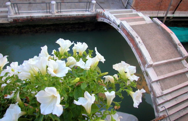 3749 Ponte Chiodo Guest House - Foto 40