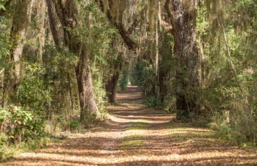 Pierside Retreat Saint Simons Island 3BR Sleeps 8 - Foto 68