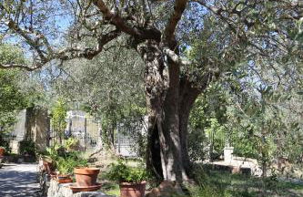 La Masseria PietraMarmo Caiazzo - App to con vista - Foto 34