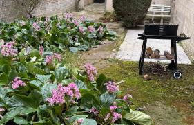 Les horizons de Jules - Foto 34