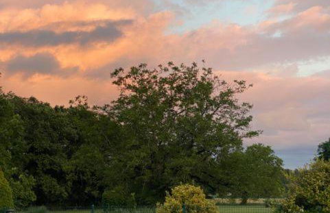 Hameau du Soleil - Papillon - Foto 37