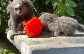 Casa Mundo Buzios - Foto 61