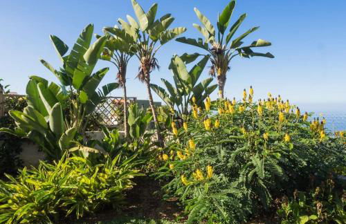 Casa Viña: a spectacular away from it all holiday - Foto 16