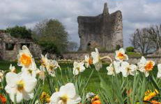 La LOGE entre Pierre & Histoire - Foto 7