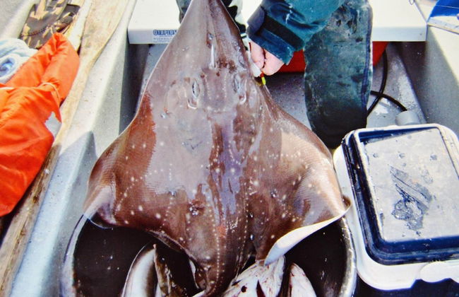 Holiday Home in EidsvÃ¥g - Foto 43