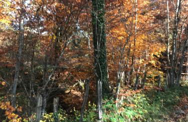 Tuscany Nature Relax - Photo 24