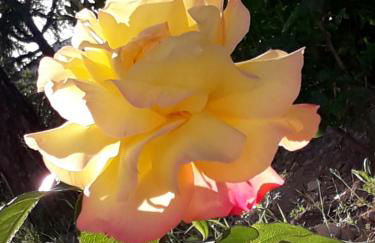 Villa Hakuna Matata - Foto 5