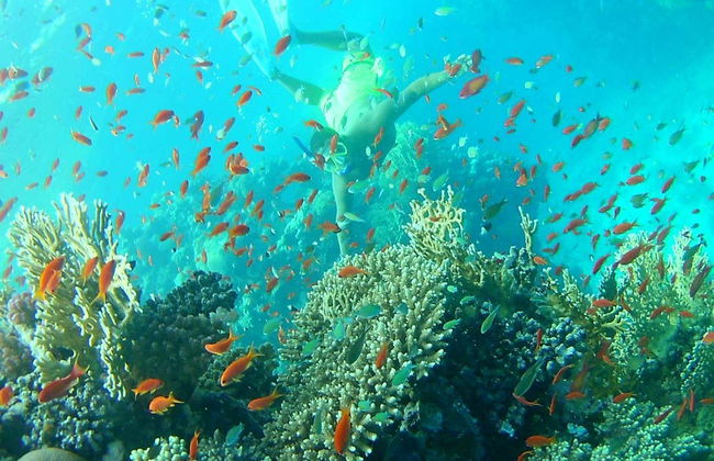 Snorkel en las islas Qulaan - Foto 2