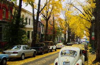 Big Bright 1 BR at U/Shaw + 14th on Quaint Swann - Foto 27