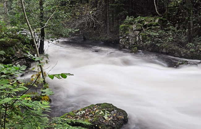 4 Person Holiday Home in Fargelanda - Foto 16