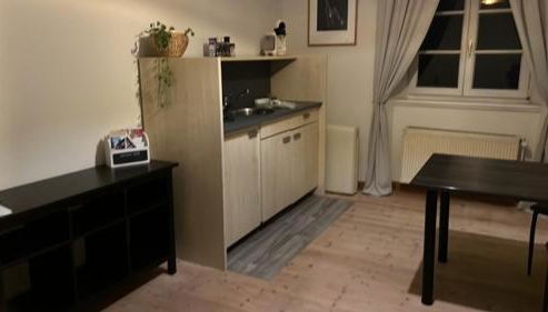 Ferienwohnung im Herrenhaus Vierkanthof von 1834 - Foto 3