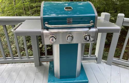 Montreat Round House - mountain views, renovated - Foto 31