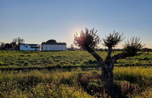 Cortijo de la Seda - Foto 13