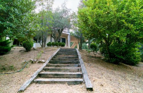 Jaza Paraiso - Foto 27