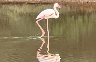 Claude&Kate's dream house - Photo 55