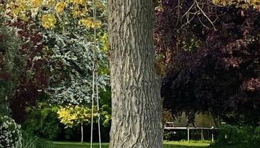 Grange stables - Foto 4, Garden, Garden view