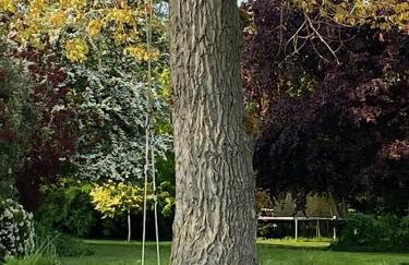 Grange stables - Foto 4