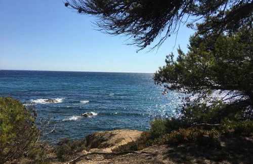 La Provence authentique à 30 minutes des plages - Foto 19
