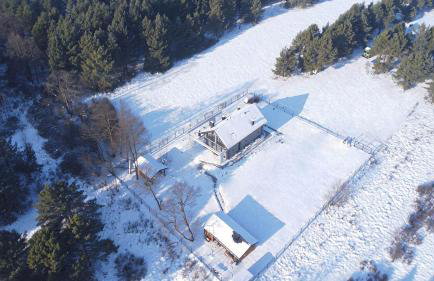 Flora & Sauna Kamieńczyk Konwaliowa 8 - Foto 6