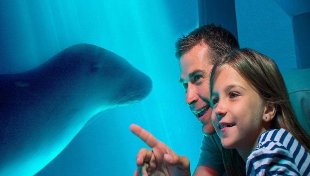 SEA LIFE Sunshine Coast - Foto 5